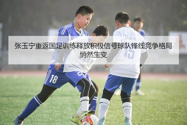 张玉宁重返国足训练释放积极信号球队锋线竞争格局悄然生变